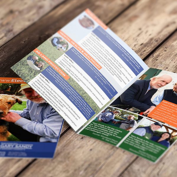 Gary Sandy Campaign walk piece brochure