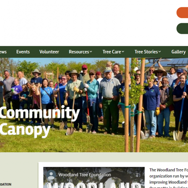 Woodland Tree Foundation website design