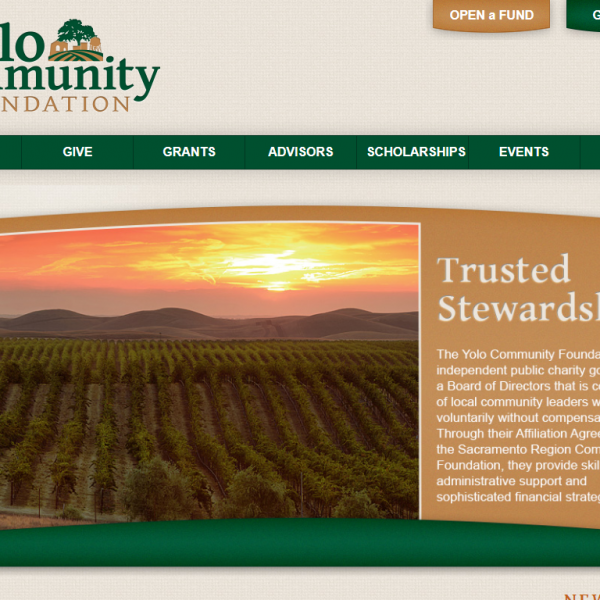 Yolo Community Foundation website design